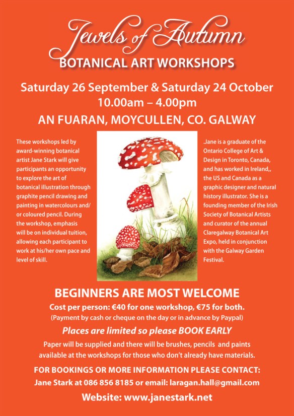 Botanical Art Workshops Autumn 2015