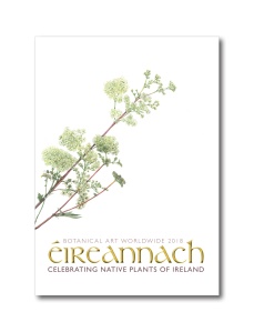 The front cover of Éireannach: Native Plants of Ireland